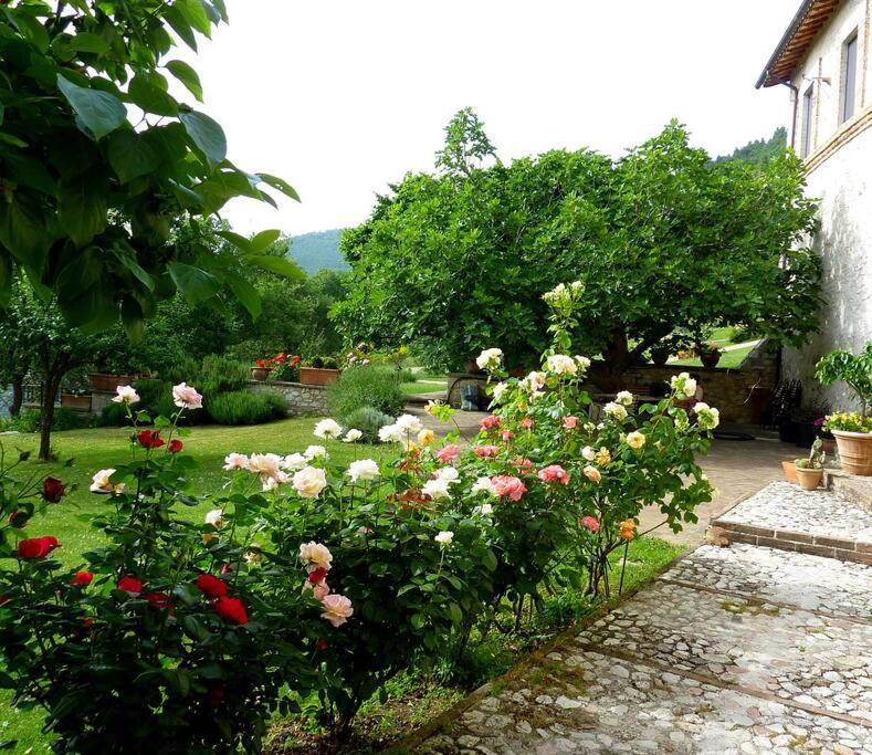 ספולטו All Stone Horse Stable Converted To Elegant Apartment - Baltimora מראה חיצוני תמונה